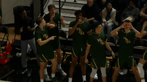 Gotribe Dancing GIF by William & Mary Tribe Athletics
