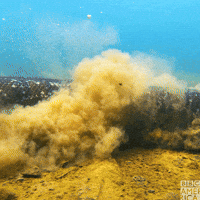 Slither South America GIF by BBC America