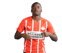 Football Celebrate Sticker by PSV