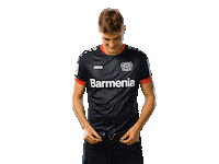 Bayer 04 Werkself Sticker by Bayer 04 Leverkusen