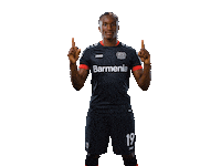 Bayer 04 Swipe Sticker by Bayer 04 Leverkusen