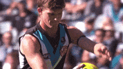 Aussie Rules Celebration GIF by Port Adelaide FC