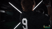 Tulane Rollwave GIF by GreenWave
