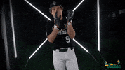 Tulane Rollwave GIF by GreenWave