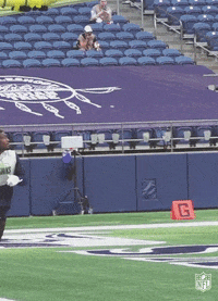 Regular Season Football GIF by NFL