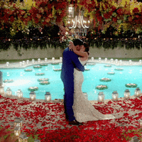 GIF by The Bachelor Australia