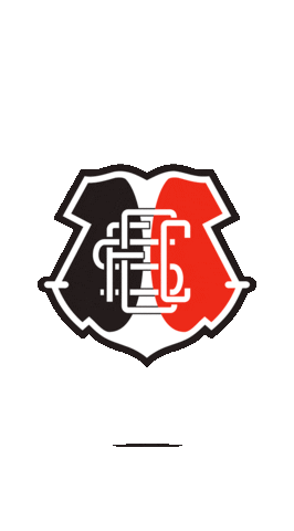 Santa Cruz Futebol Sticker by TV Jornal Interior