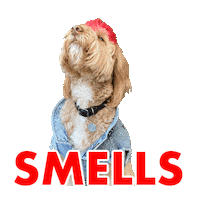 Breckindoodle Sticker by Pimp Yo Pets