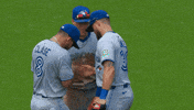 Blue Jays Baseball GIF by Toronto Blue Jays