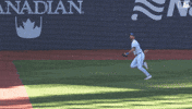 Blue Jays Baseball GIF by Toronto Blue Jays