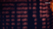 GIF by CYBERWAR