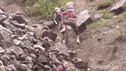 let it go whatever GIF by Red Bull