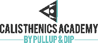 Calisthenics Academy Sticker by pullupanddip