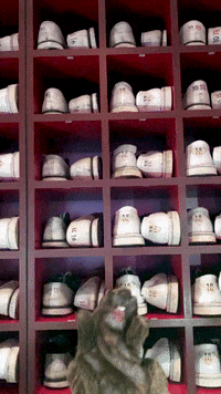 bowling ball GIF by Bowlero