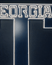 Georgia Tech Baseball GIF by Georgia Tech Yellow Jackets