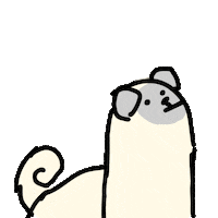 Dog Look Sticker by BuzzFeed Animation