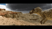GIF by Gunpowder & Sky