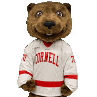 Happy Big Red Sticker by Touchdown's Team