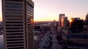 maryland GIF