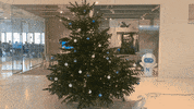 x-mas christmas GIF by Nmbrs