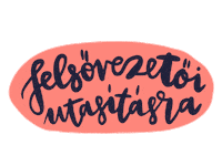 Ugynokseg Ugyfel Sticker