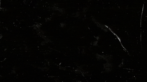 GIF by Rose Stallard