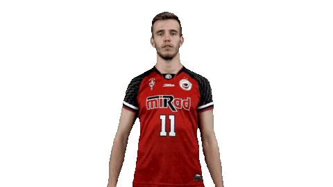 Winner Volleyball Sticker by VK MIRAD UNIPO Prešov