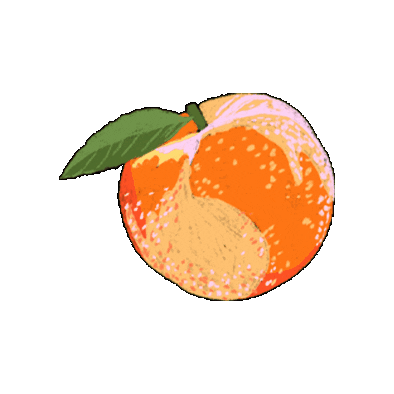 Summer Fruit Sticker