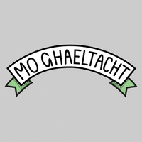 udarasnagaeltachta gaeilge gaeltacht údarás na gaeltachta GIF