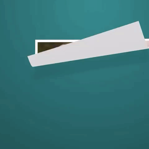 art motion GIF by The Videobook