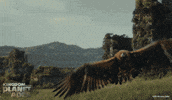 Trailer gif.  A scene from the movie "Kingdom of the Planet of the Apes" shows an orange and grey taloned eagle landing on the bandaged arm of Noa. Noa looks at the eagle with affection, then looks around him. The camera pans out to reveal a post-apocalyptic city in the background, overgrown with lush greenery. 