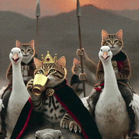 OrbitPaws king army march marching GIF