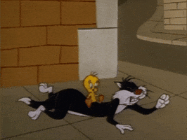 Screaming Help Me GIF by Looney Tunes