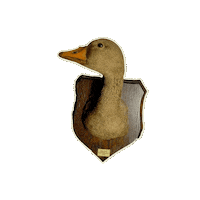 Taxidermy Sticker by Garcia Properties