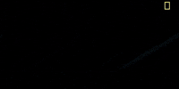 may 27 season 1 GIF by National Geographic Channel
