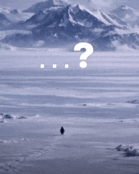 Adelie Penguin GIF