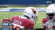 Arizona Cardinals Football GIF by NFL