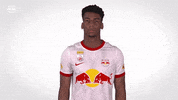 Red Bull Sport GIF by FC Red Bull Salzburg