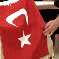 Turkey Turkish GIF by TRT