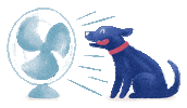 medivetcomunicacion medivet medivetgroup medivetsp Sticker
