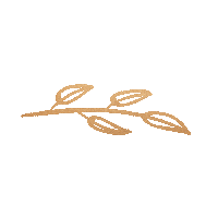 Desert Weddingphoto Sticker by Suzy Goodrick Photography