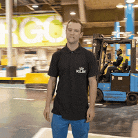 Flying Royal Dutch Airlines GIF by KLM