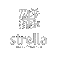 strellatravel travel trip viajes strella Sticker