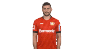 Bayer Leverkusen Reaction Sticker by Bundesliga