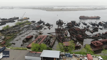 Trees Sprout From Wrecked Ships in Eerie Boat Graveyard on Staten Island