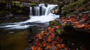 west virginia GIF