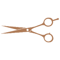 Beauty Hair Sticker by v3raw