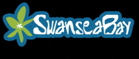 visitswanseabay wales swansea happyplace gower GIF