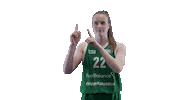 Sport Basketball Sticker by Basket_fi