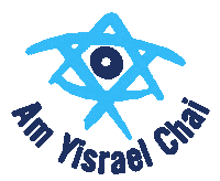 Jerusalem Taglit Sticker by Birthright Israel